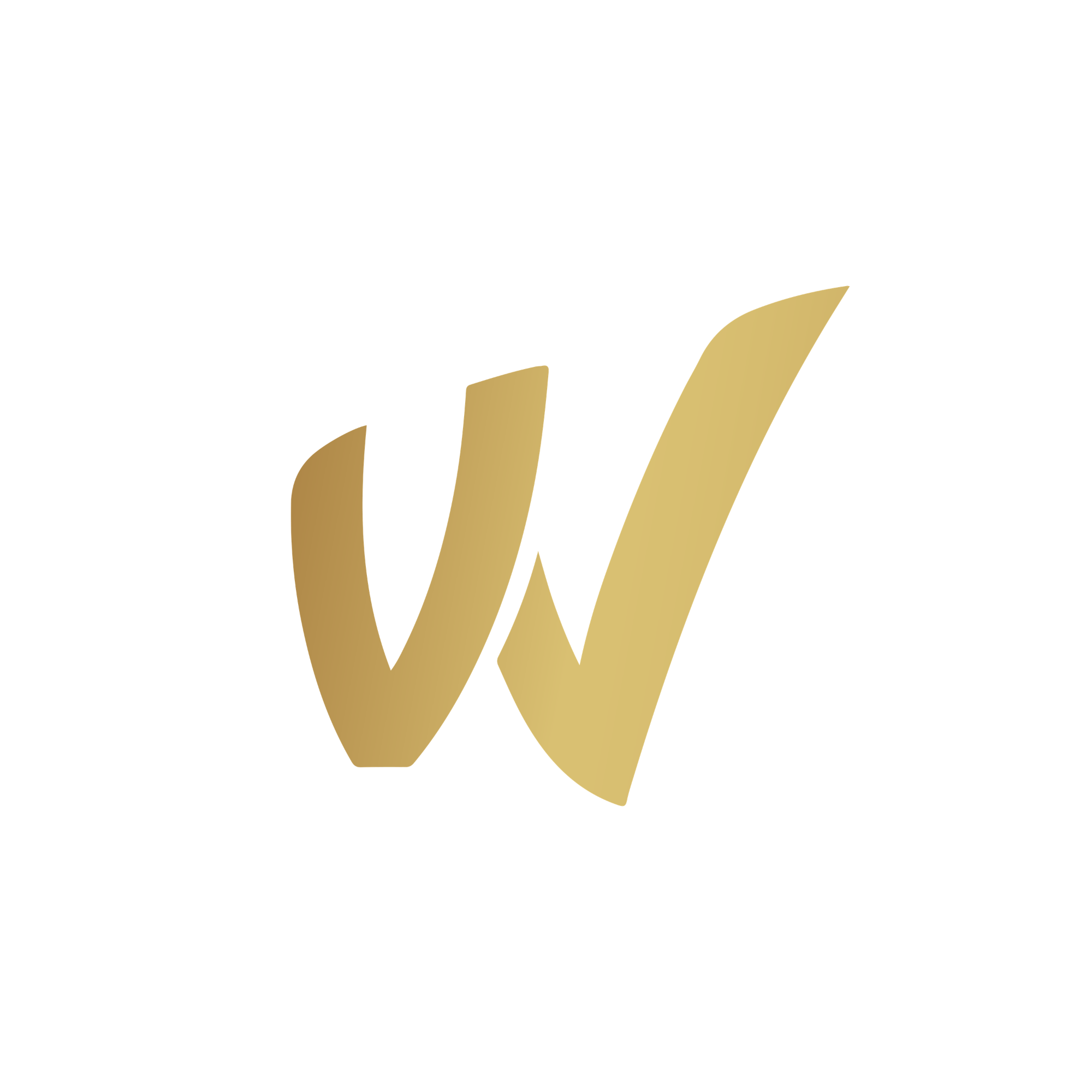 WORSHIP REVOLUTION
